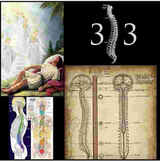 33-kundalini-spinal-column