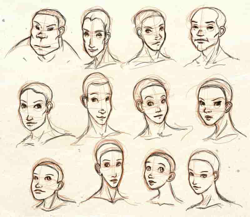 The Comprehensive Guide to Chinese Face Reading (2022) - Wisdom Tavern