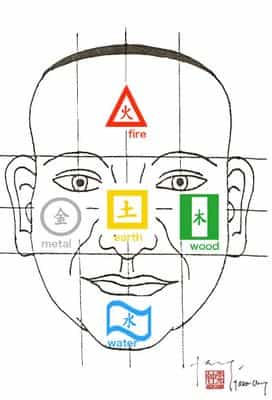5 Elements of the Face