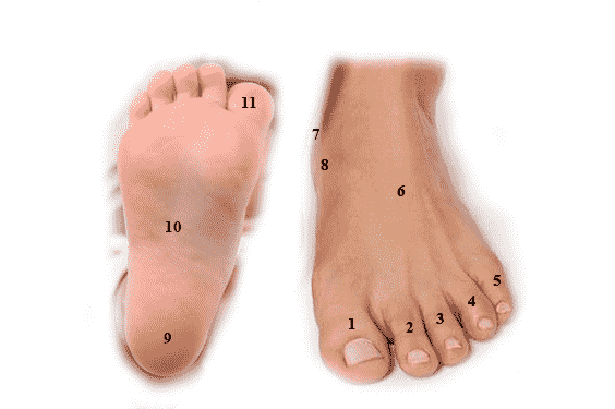 Accurate Meanings Of Moles On The Feet Men And Women Wisdom Tavern