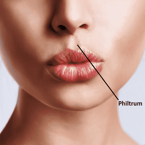 Philtrum meaning in Chinese face reading